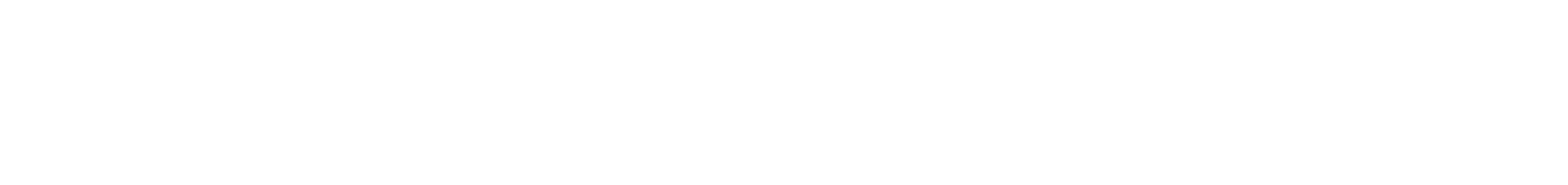 Mundiconsult